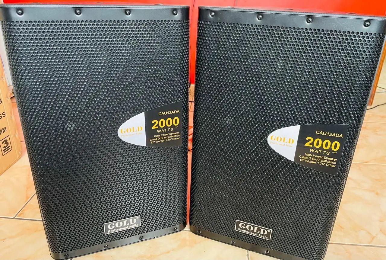 Caixa Ativa 2.000w PROFISSIONAL GOLD - Foto 4