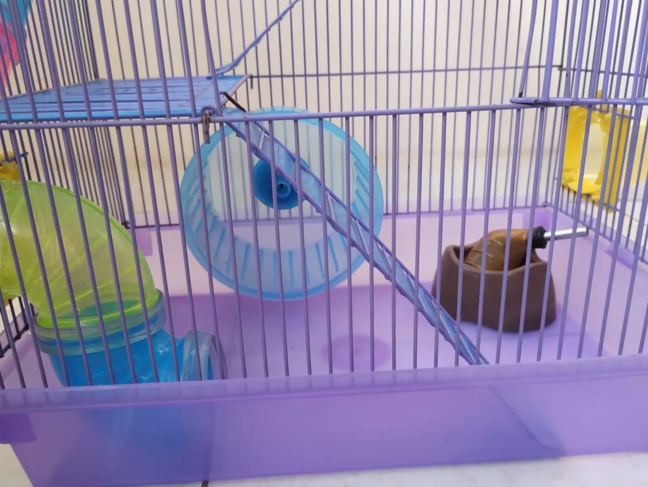 Kit hamster  - Foto 4
