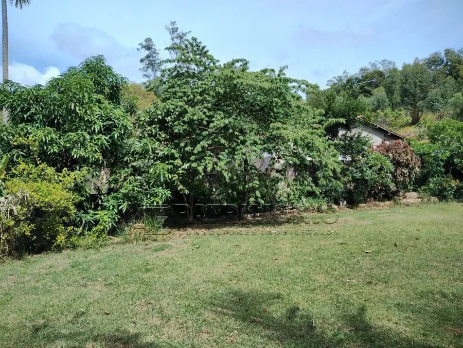 TERRENO CAPUTERA - Foto 2