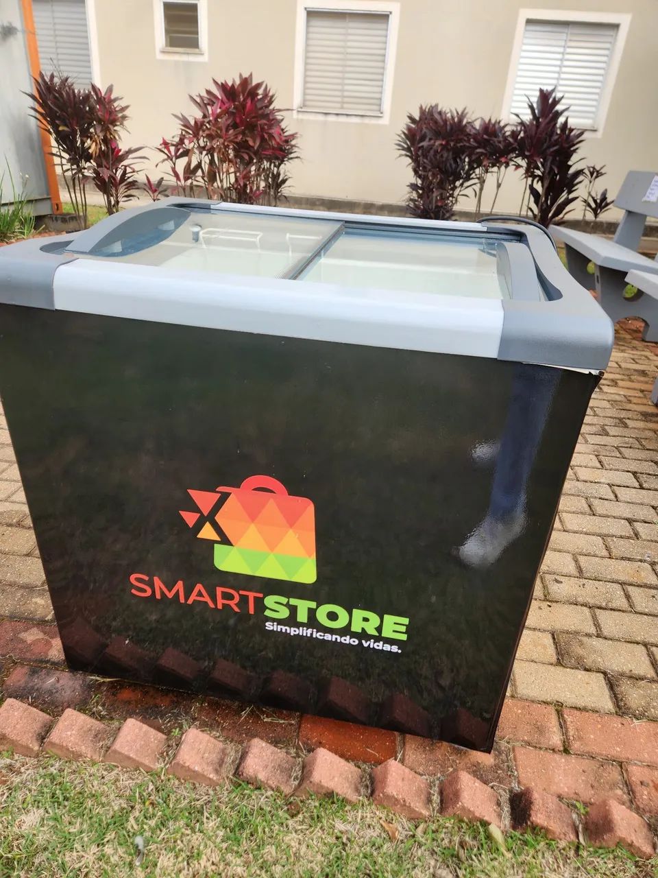 Freezer Expositor