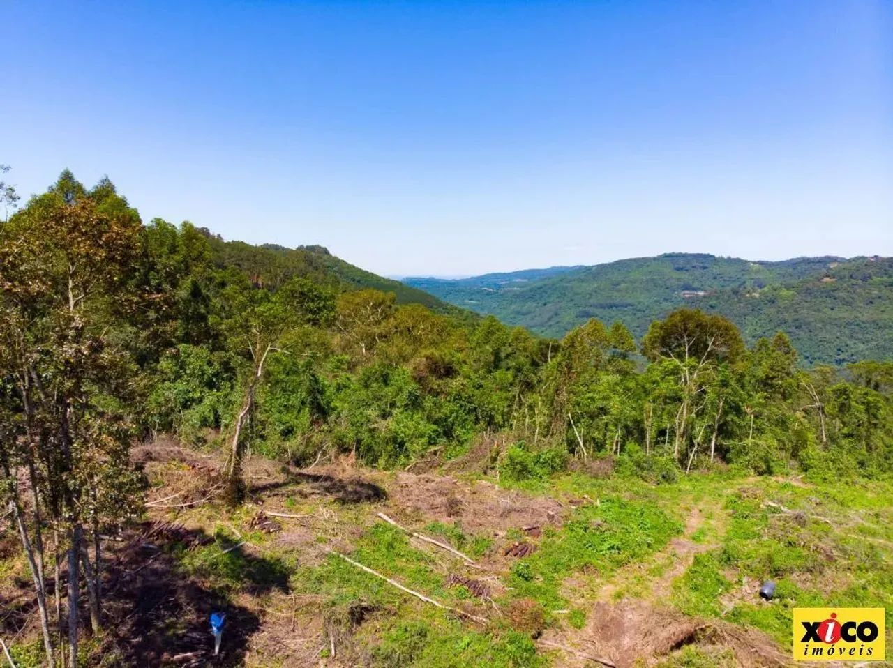 Sítio / Chácara para Venda em Nova Petrópolis, São Jacó - Foto 12