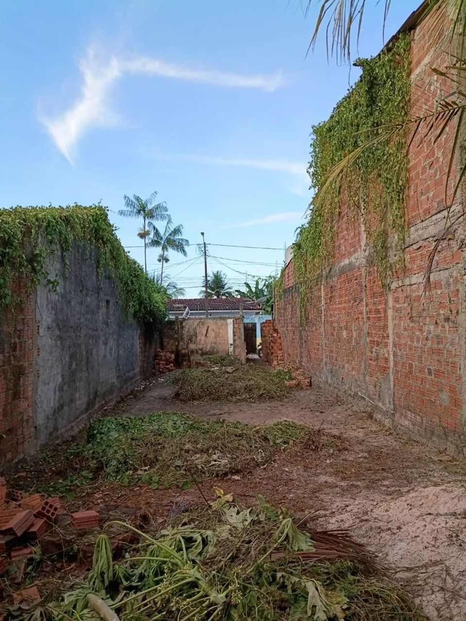 Terreno a venda - Foto 4