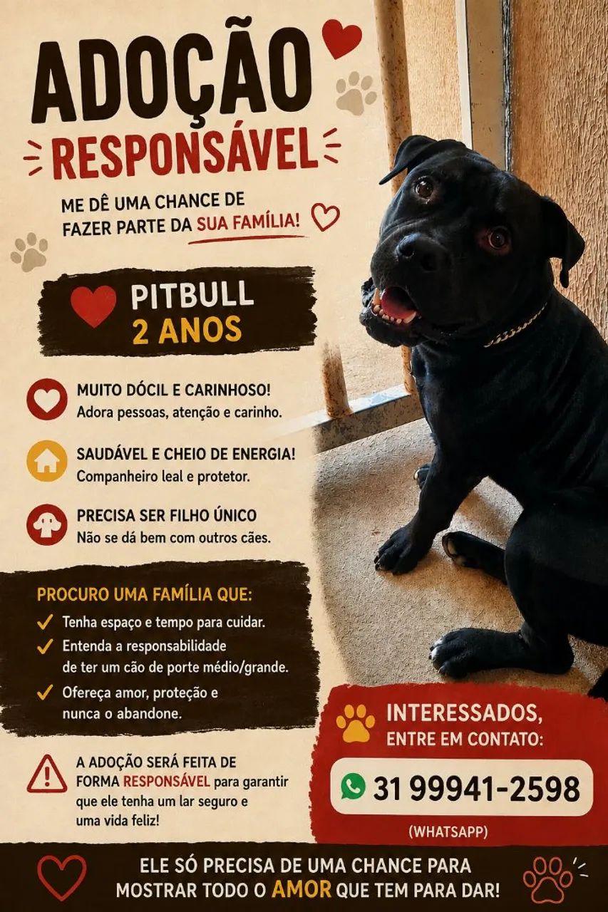Adoção responsável  - Foto 2