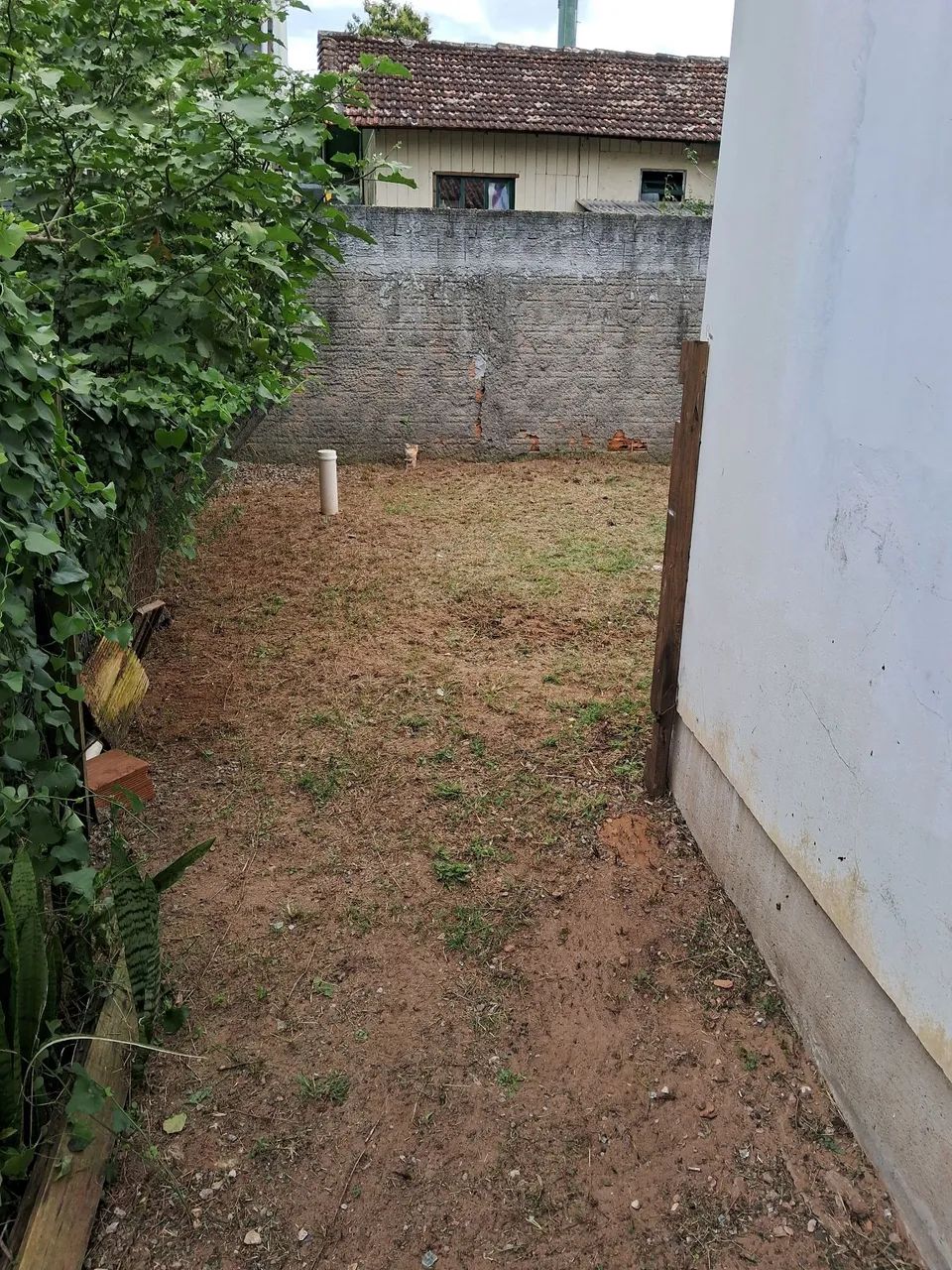 Trabalho com Jardinagem e Poda de Árvores  - Foto 4
