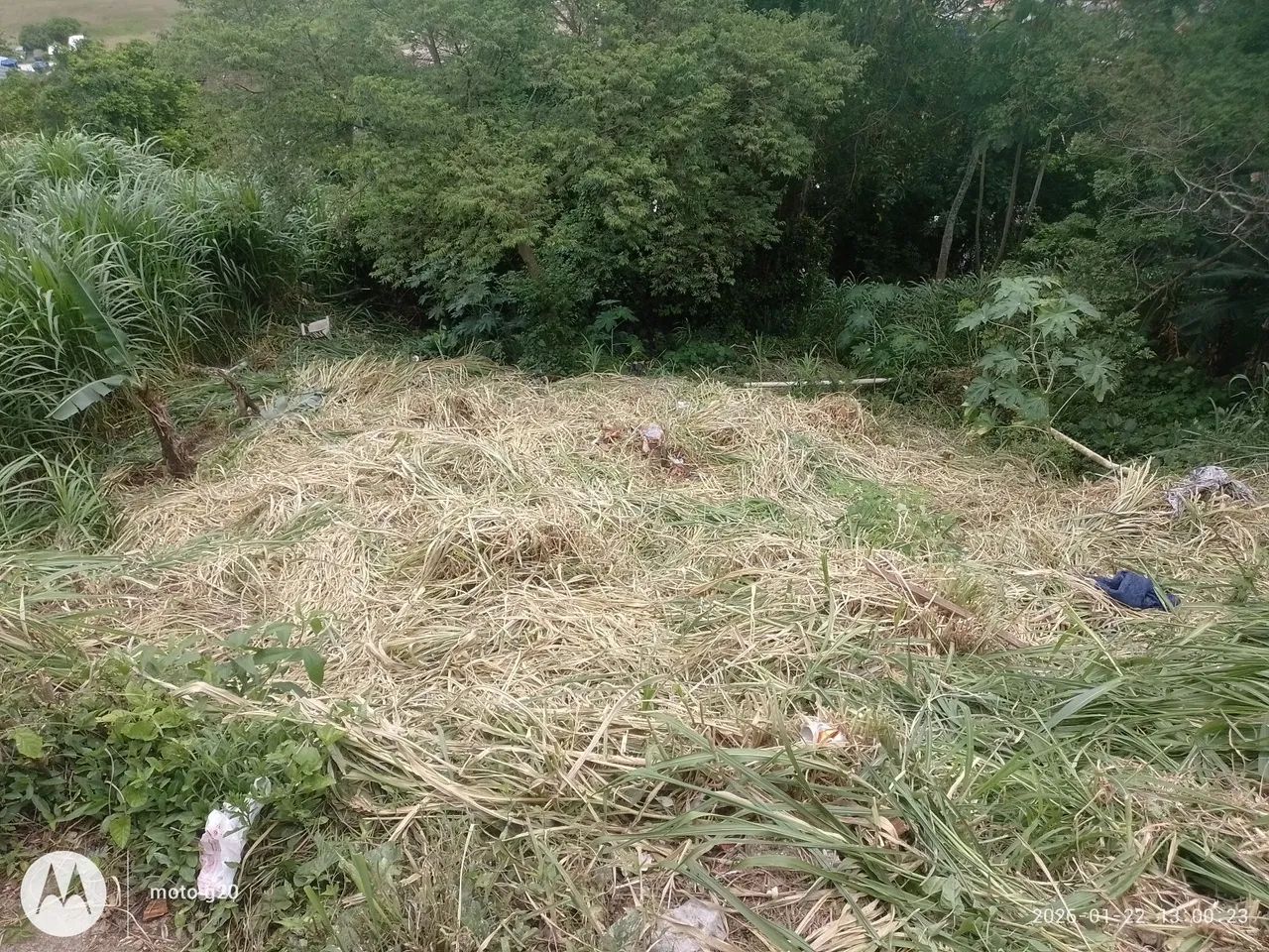 Terreno na Costeira - Foto 4