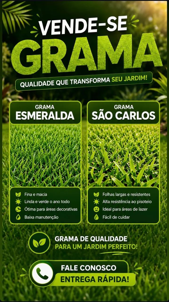 VENDO GRAMA