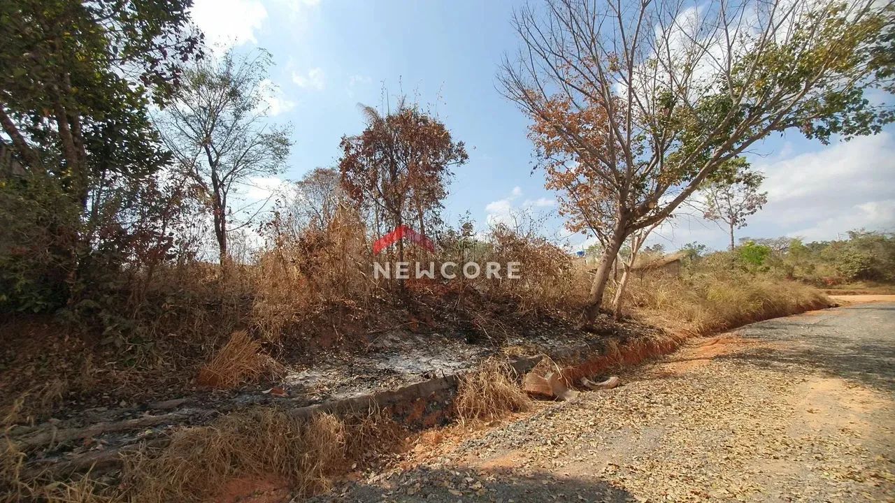 Lote em RUA ANTONIO DA ROCHA - Fernão Dias - Esmeraldas/MG - Foto 8