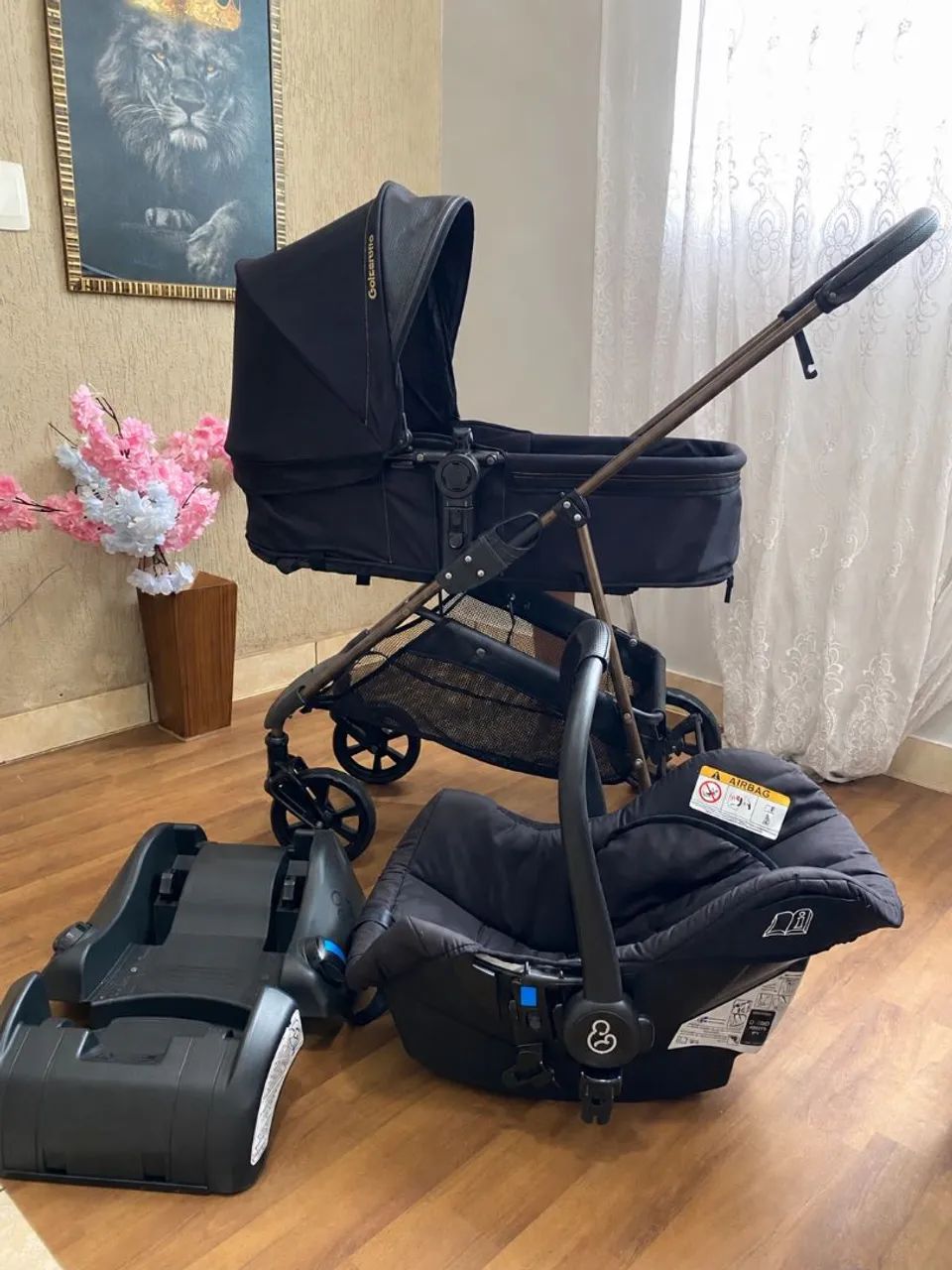 Carrinho Moisés com bebe conforto e base 