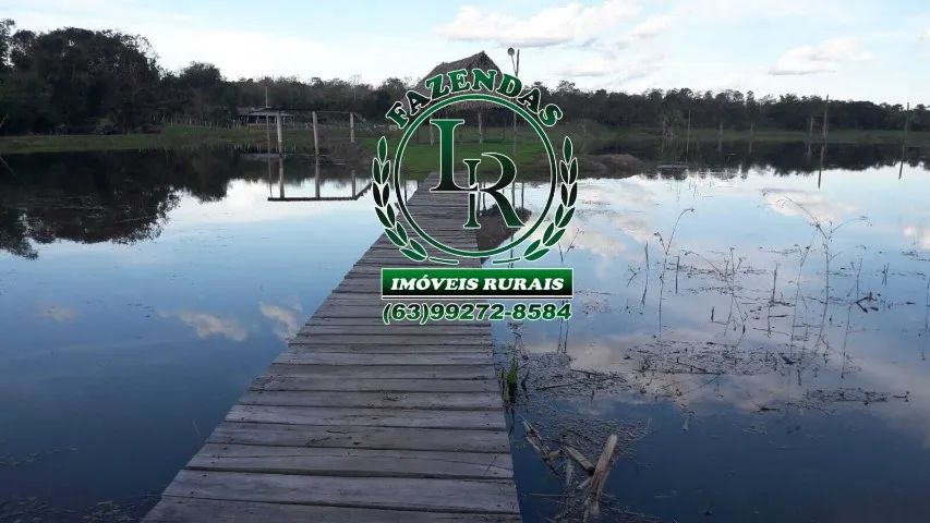 Fazenda 44 Alqueires Região Dois Irmãos - Foto 5