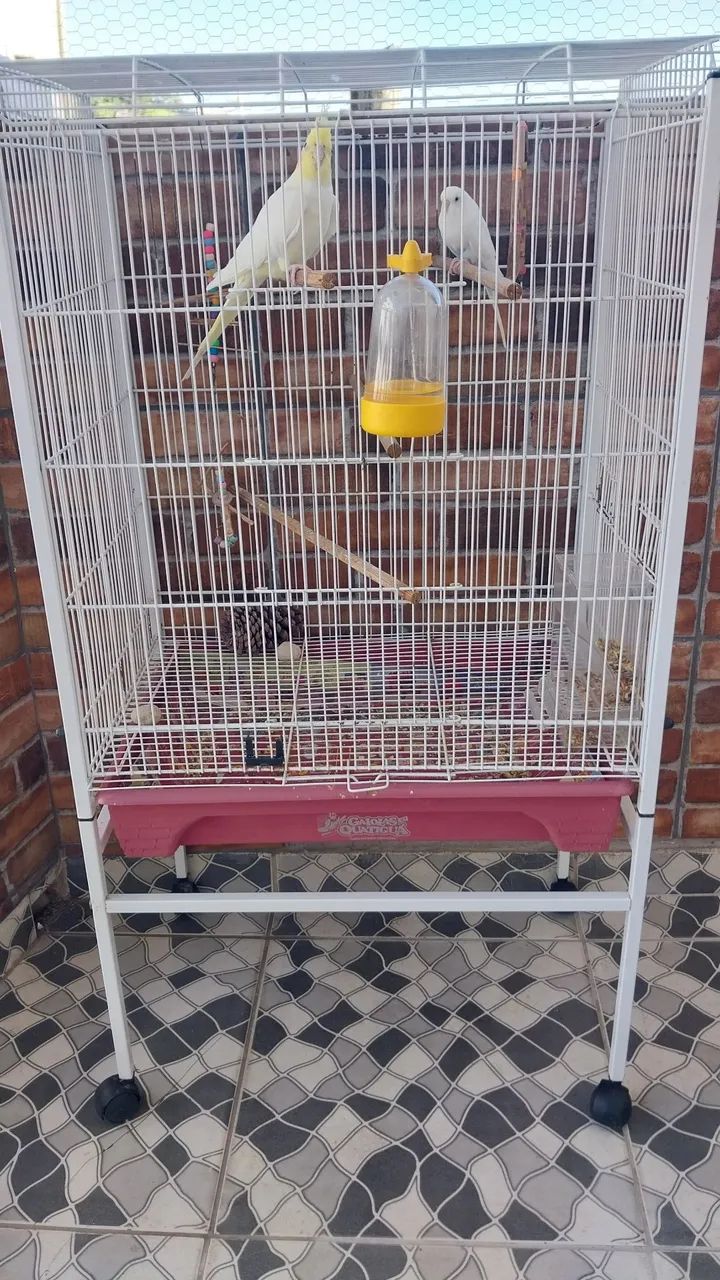 Gaiola Quatiguá - Foto 2