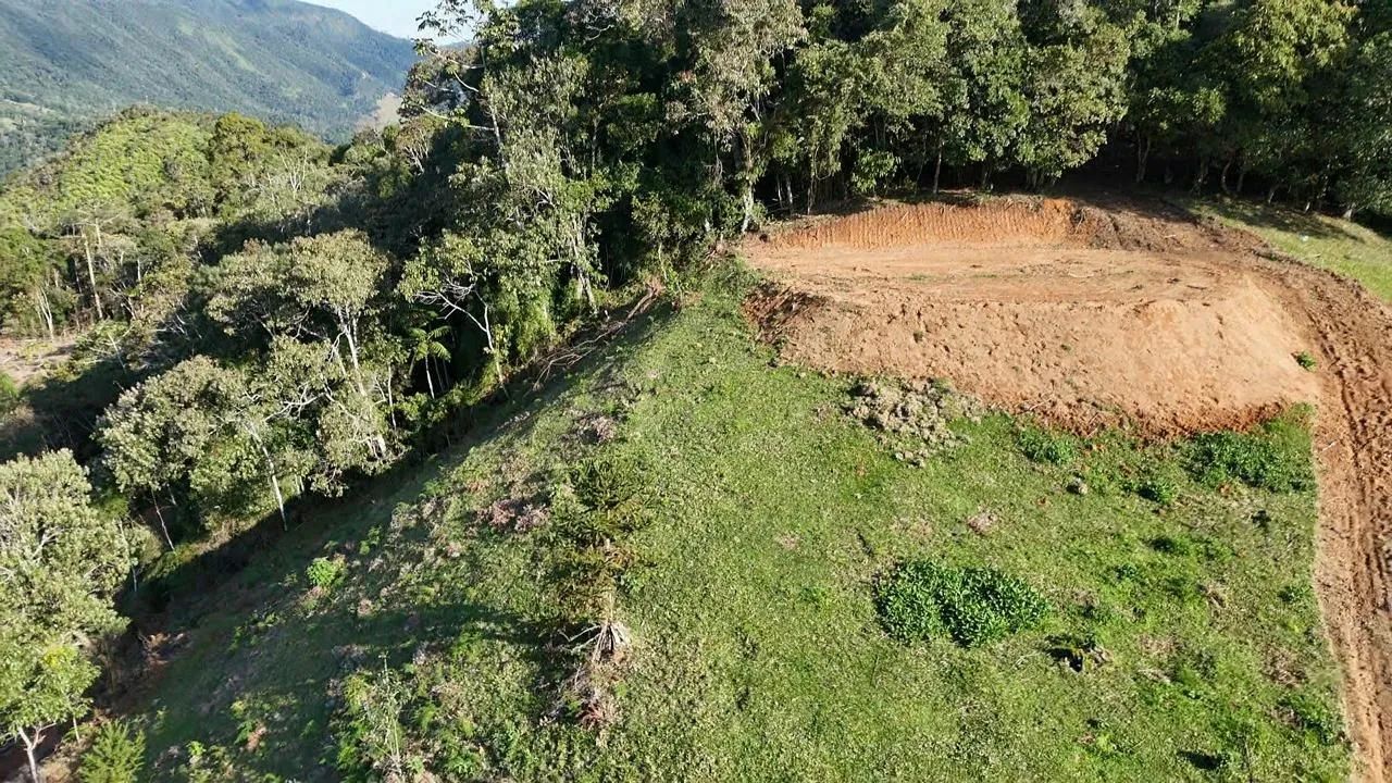 2 HECTARES COM NASCENTE - Foto 5