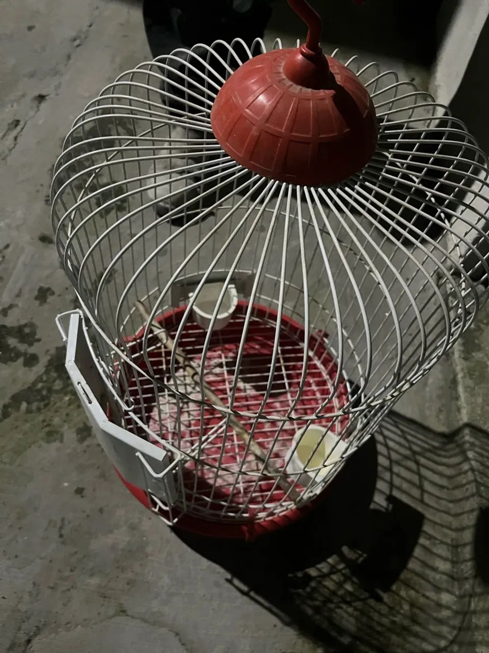 gaiola