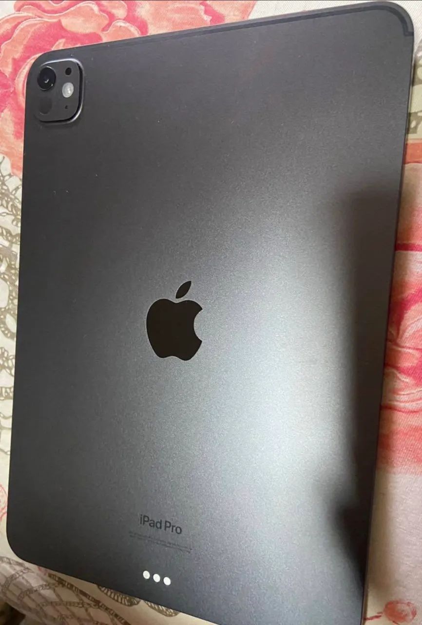 iPad Pro 11 polegadas M4 256GB *leia a descrição *