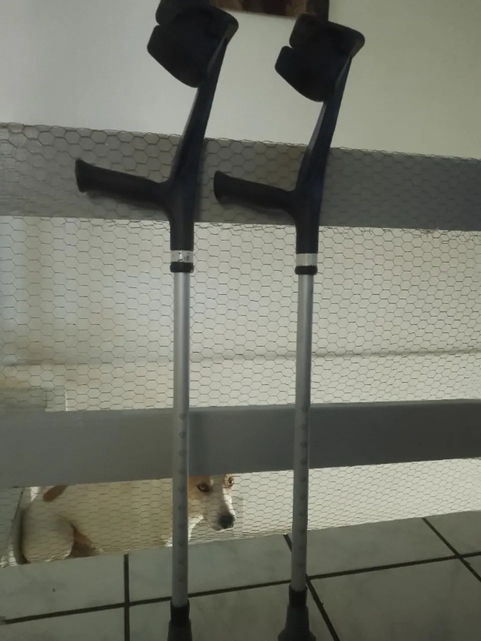 Vendo Par de Moletas 