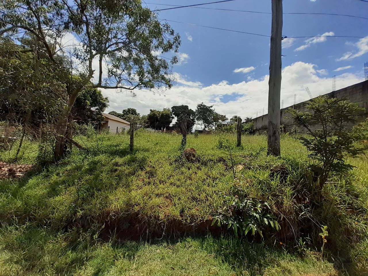 Vendo terreno 1000m - Foto 3