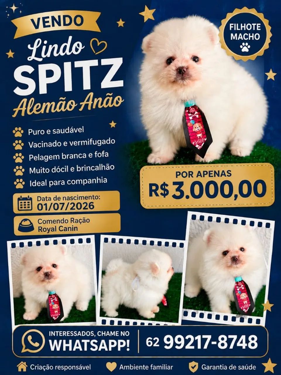 Spitz alemão