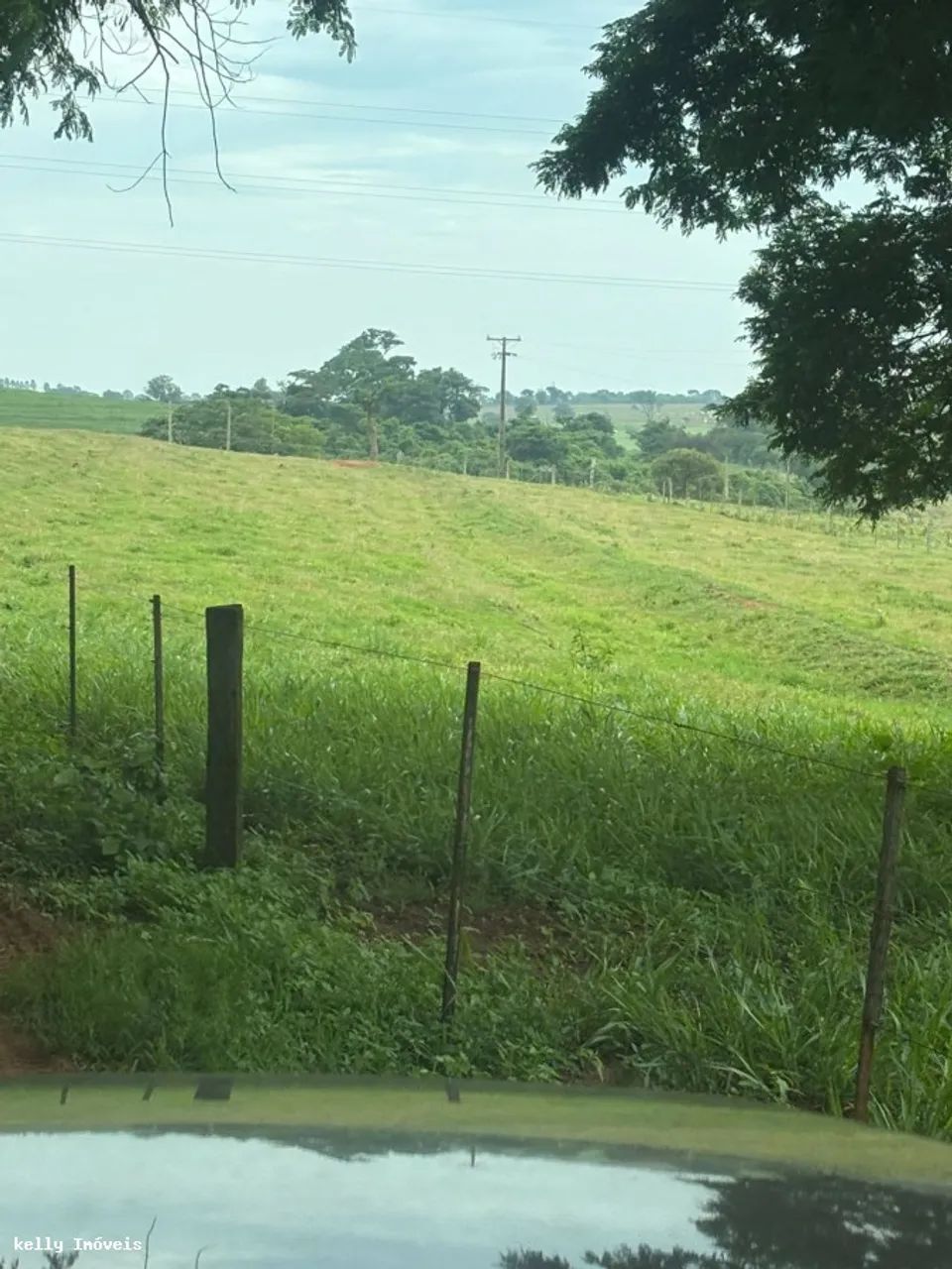 Chácara para Venda em Martinópolis / SP no bairro Rural - Foto 12