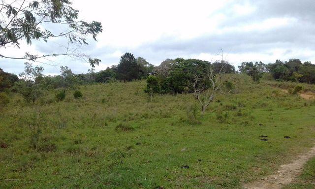 Sorocaba Região 30 Alqueires - Foto 17