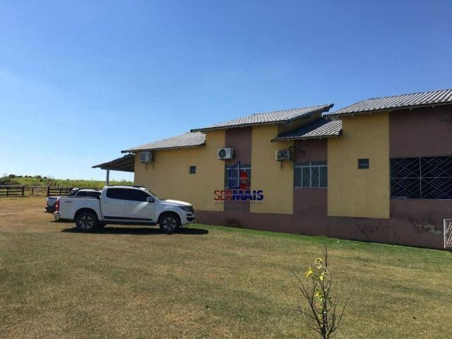 Fazenda na beira da BR 364 próximo à Cacoal - Foto 8