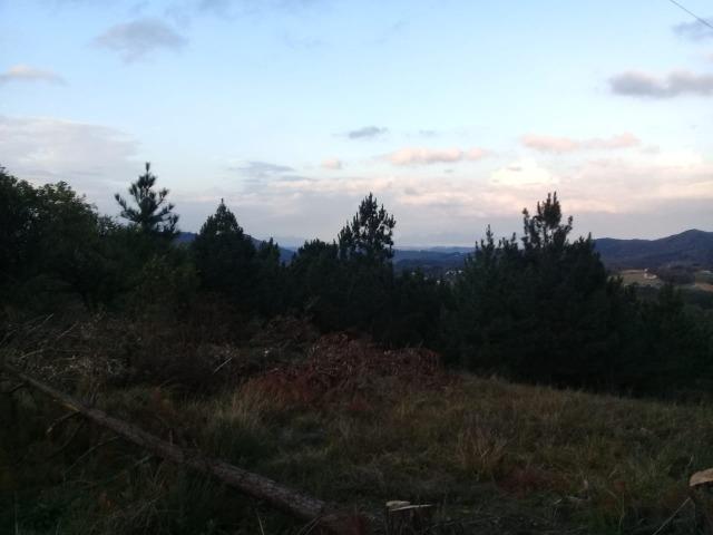 Chácara no Campestre com linda vista para a serra do mar - Foto 6