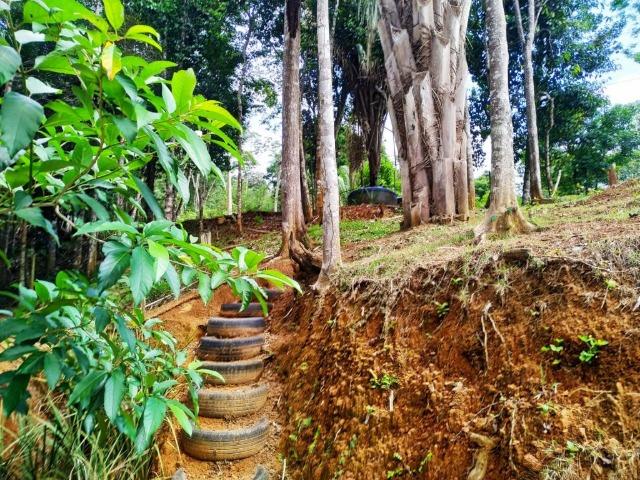 Casa em condomínio Fechado em Santa Isabel Domingos Martins - Foto 19