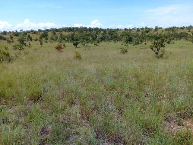 Fazenda de 840 alqs. dupla aptidão Proxima de Dois Irmãos - Foto 11