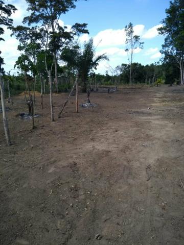Terreno abreu elima - Foto 4