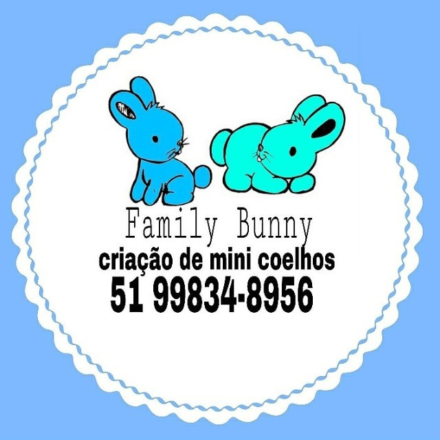 Mini coelhos Family Bunny