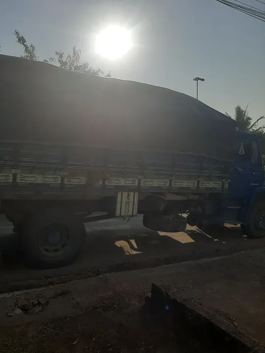 Bagaço de cana do preto enselende para o gado ....