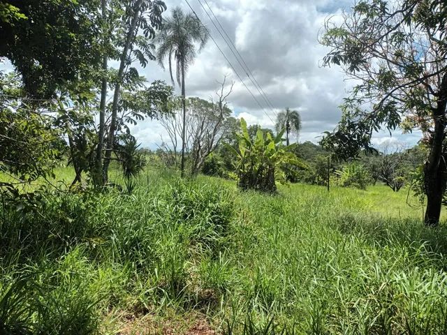 Chácara na região da Saia Velha/ Chifrudo com 31000m² - Foto 4