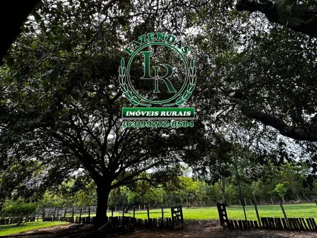 Fazenda 69  Alqueires  Dupla Aptidão - Foto 3