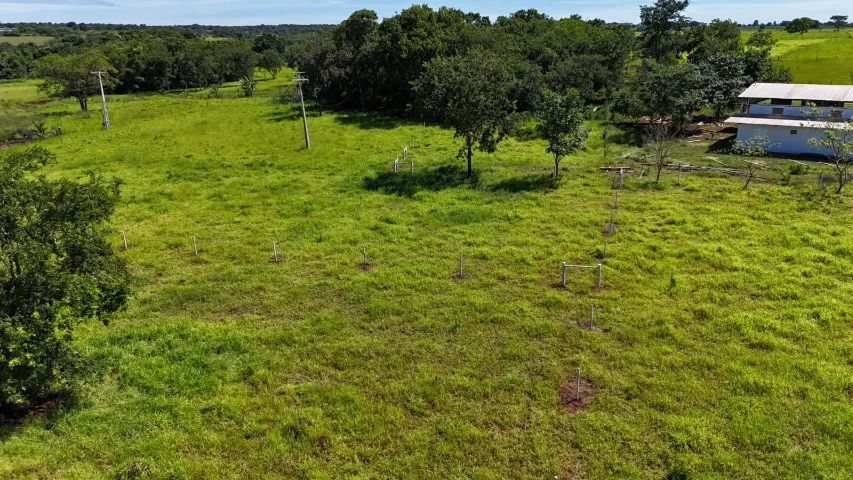 Vende-se área de 5 mil na saída de SP, ótima localização !!! - Foto 3