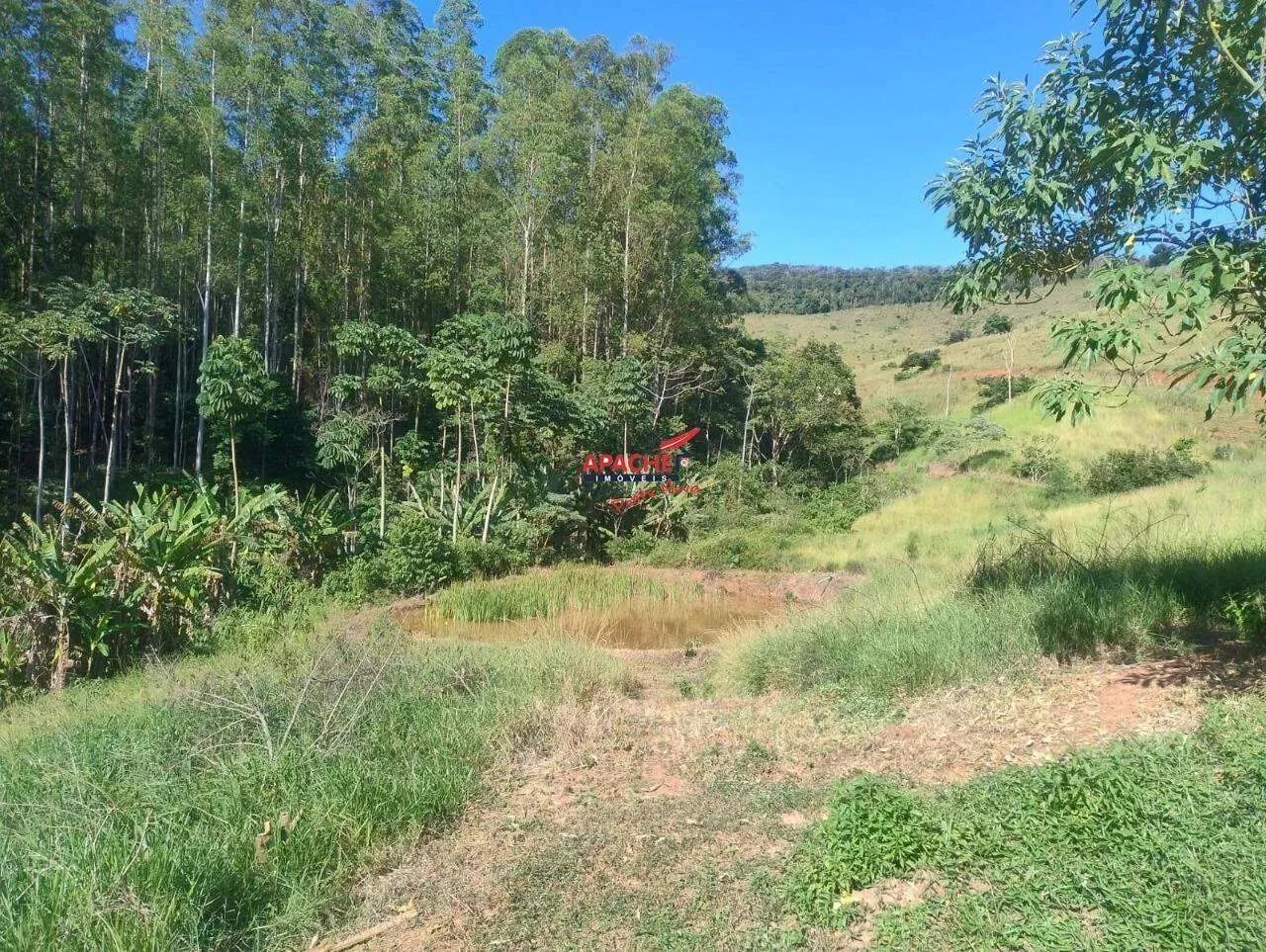Sítio à venda, Guaraciaba - Guaraciaba/MG - Foto 4