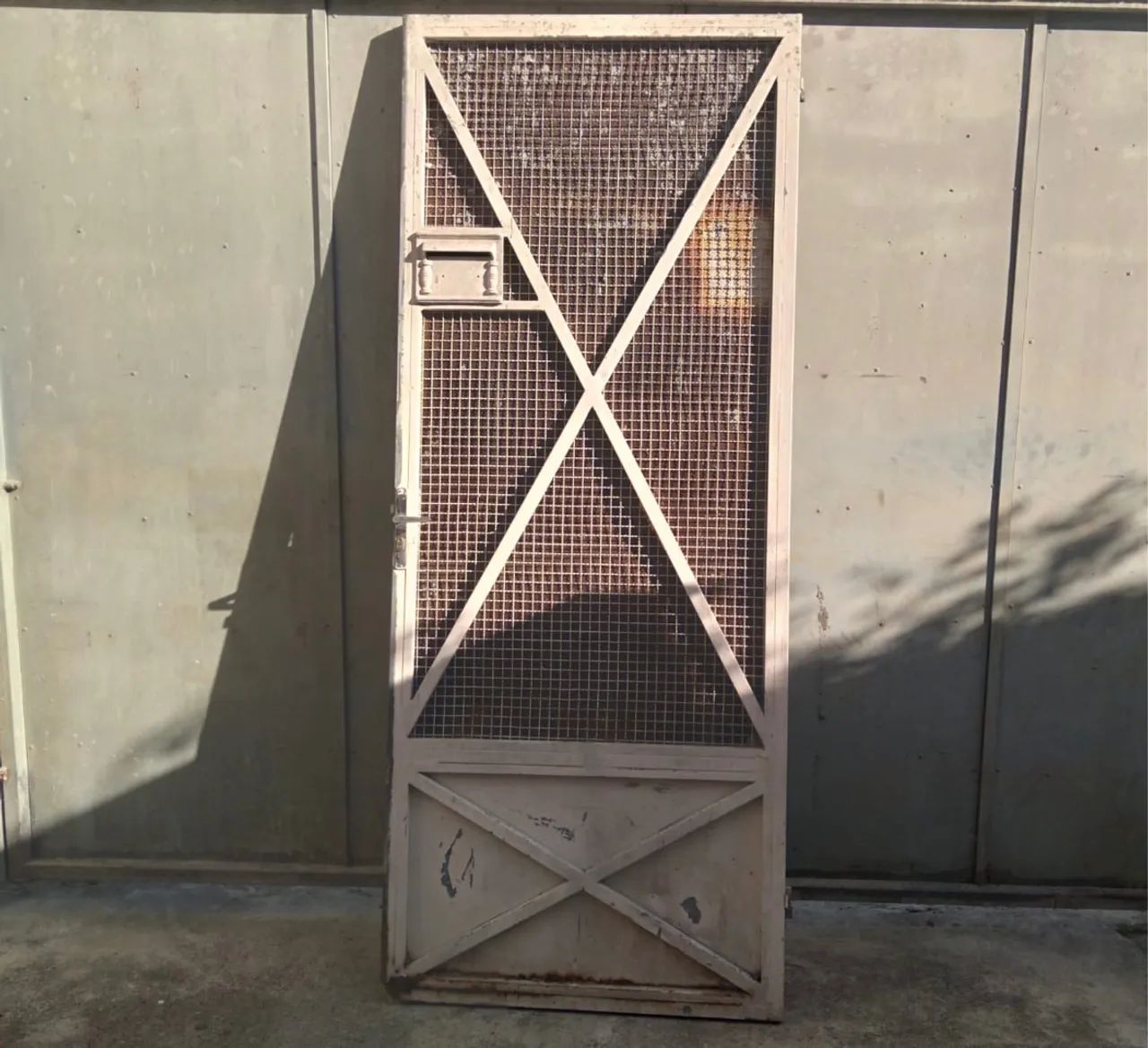 Porta de ferro com tela para área externa