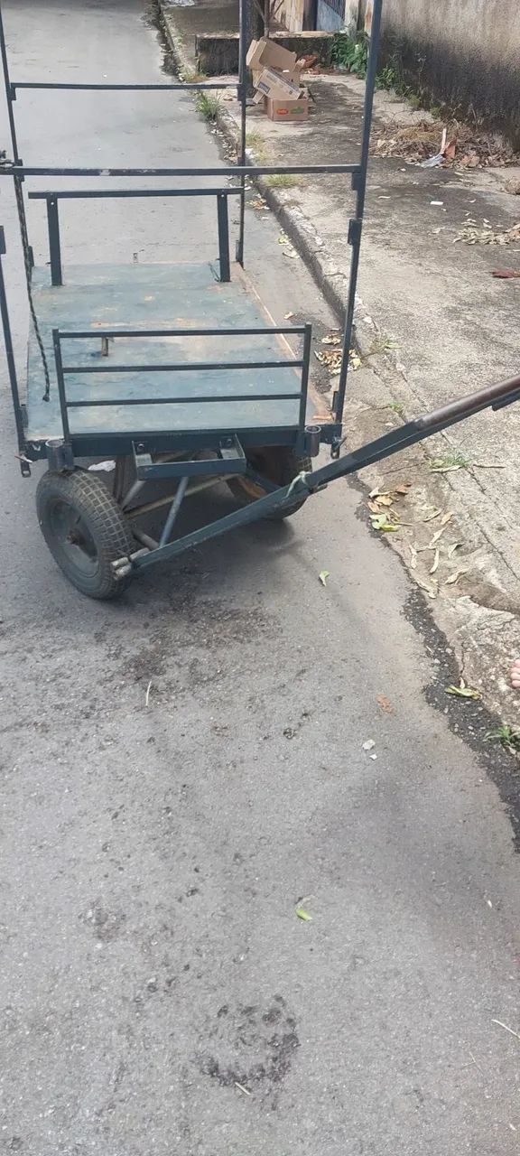 Carrinho de mão de ferro - Foto 3