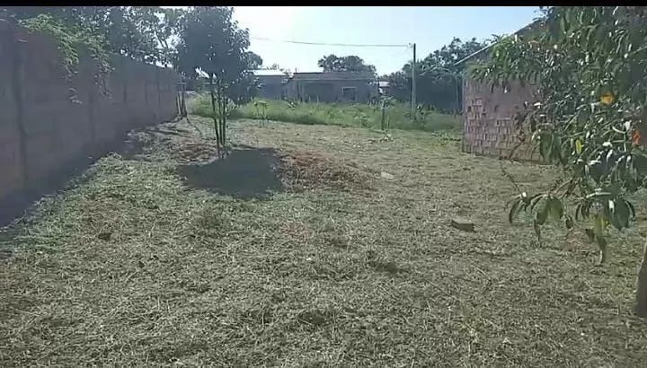 Terreno em Manacapuru - Foto 2