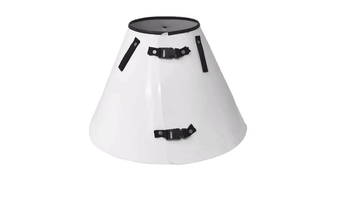 Colar Elizabetano tamanho 6 Novo