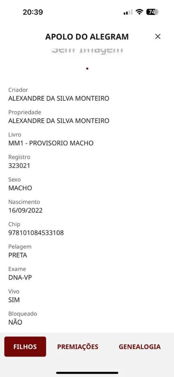 Pra quem quer ter um cavalo de pista Fazer um investimento  - Foto 4