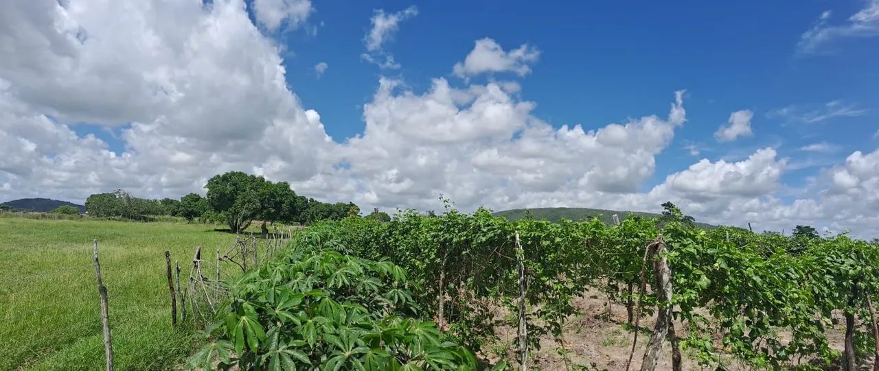 Vendo terreno no povoado campo do criolo lagarto se - Foto 5