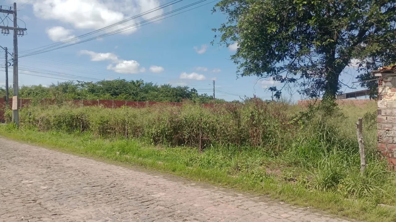 Vendo 3 lotes comerciais