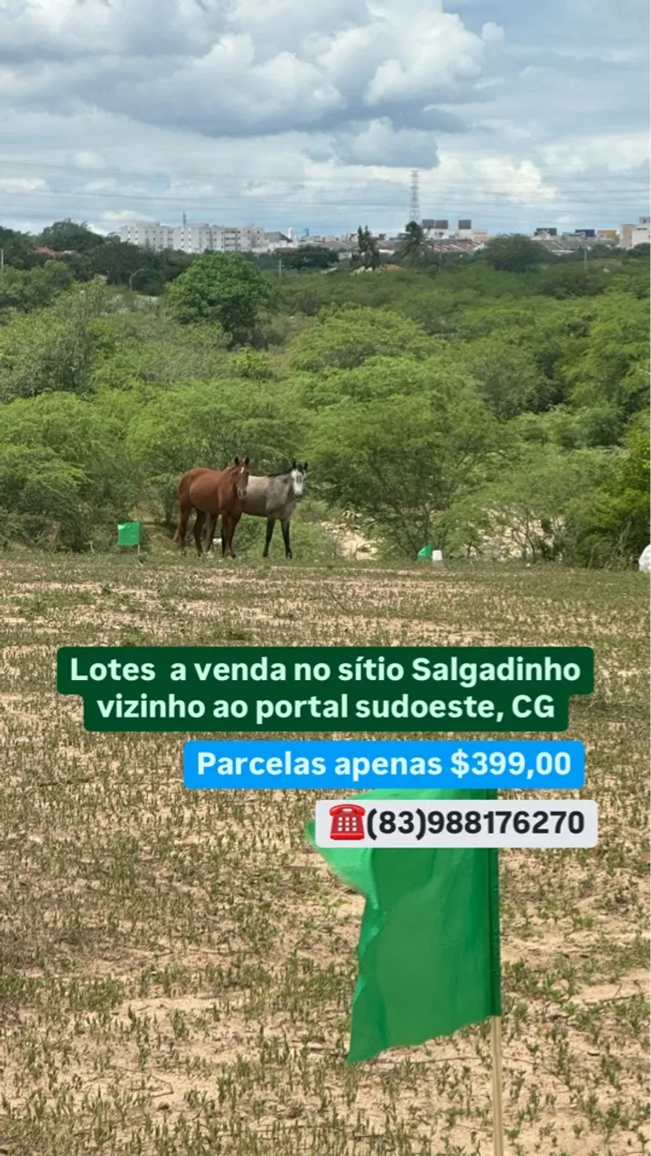 Sua tão sonhada granja tá aqui! E bem próximo de Campina no sítio salgadinho.