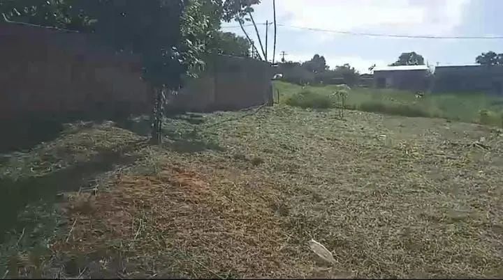 Terreno em Manacapuru - Foto 3