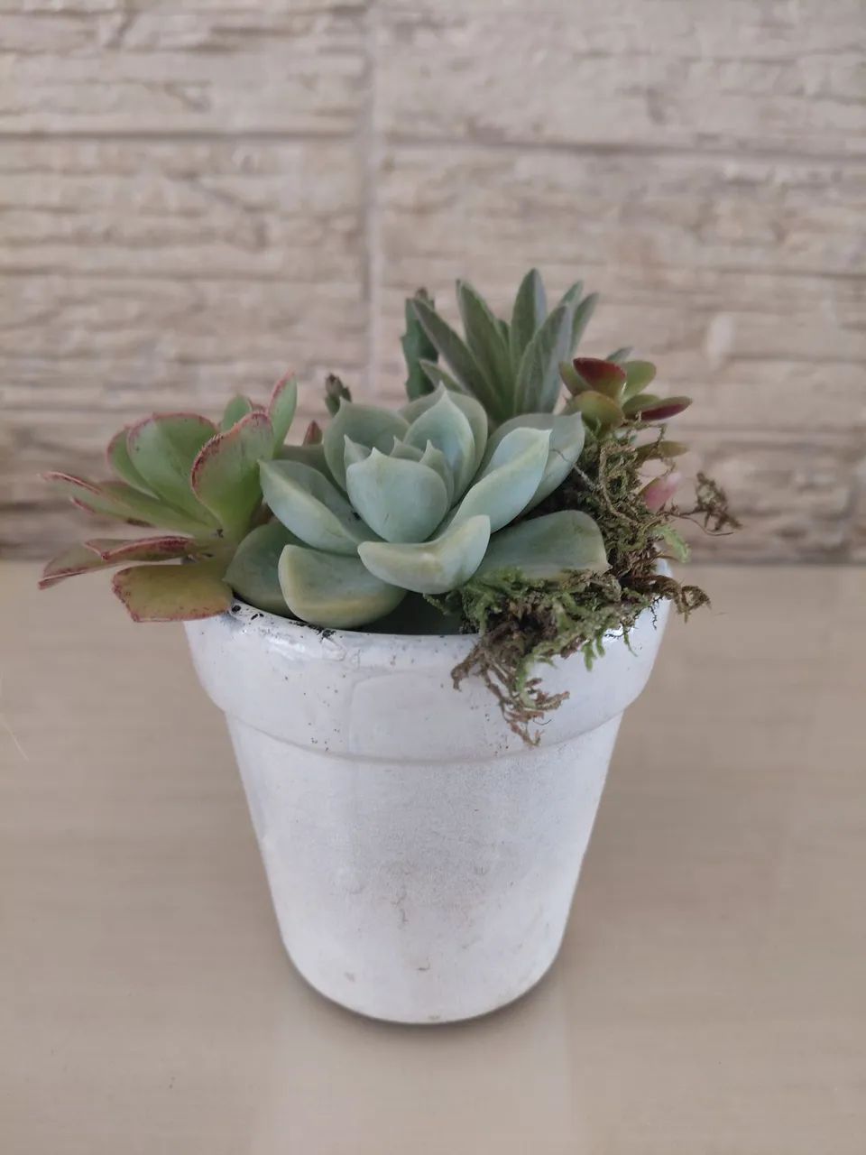 Vaso de suculentas  - Foto 3