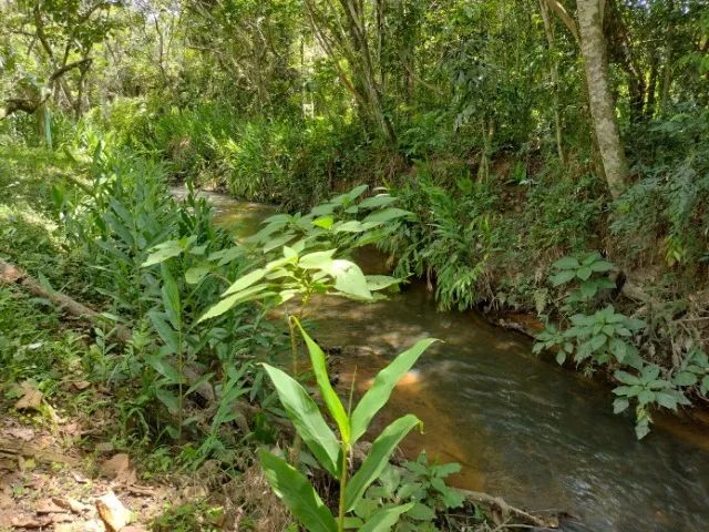 Chácara à venda em Igaratá, 2.000M² - Foto 10