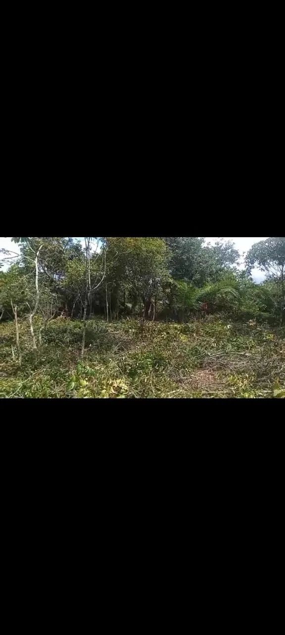 Terreno em Alter do Chão  - Foto 4