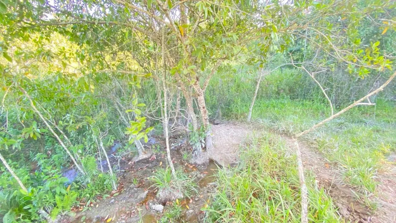 Fazenda em Aragoiânia, 15,8 hectares, 1km do asfalto, 10 km do centro de Aragoiânia, excel - Foto 5