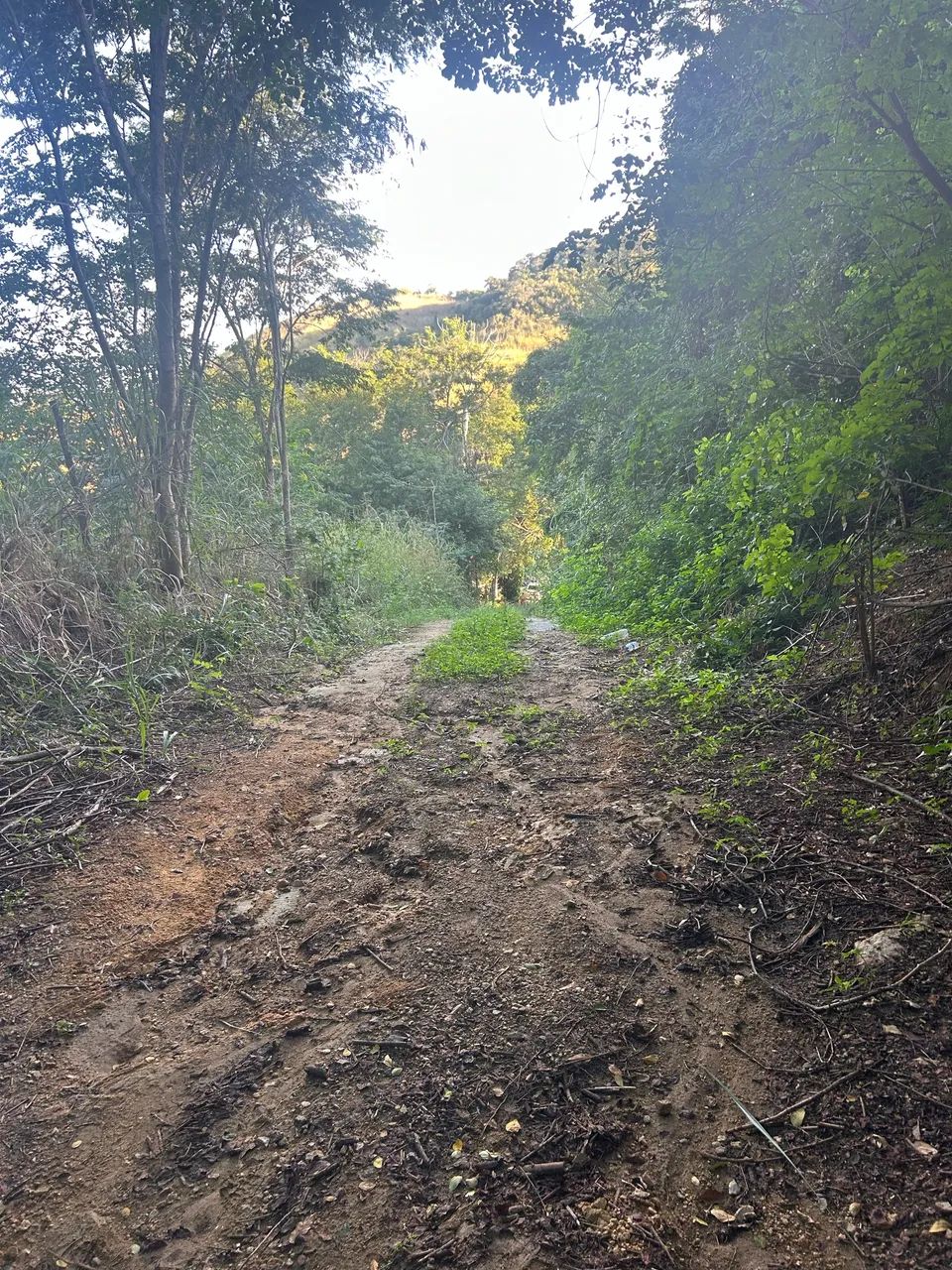 Vendo terreno de 900m quadrados - Foto 4