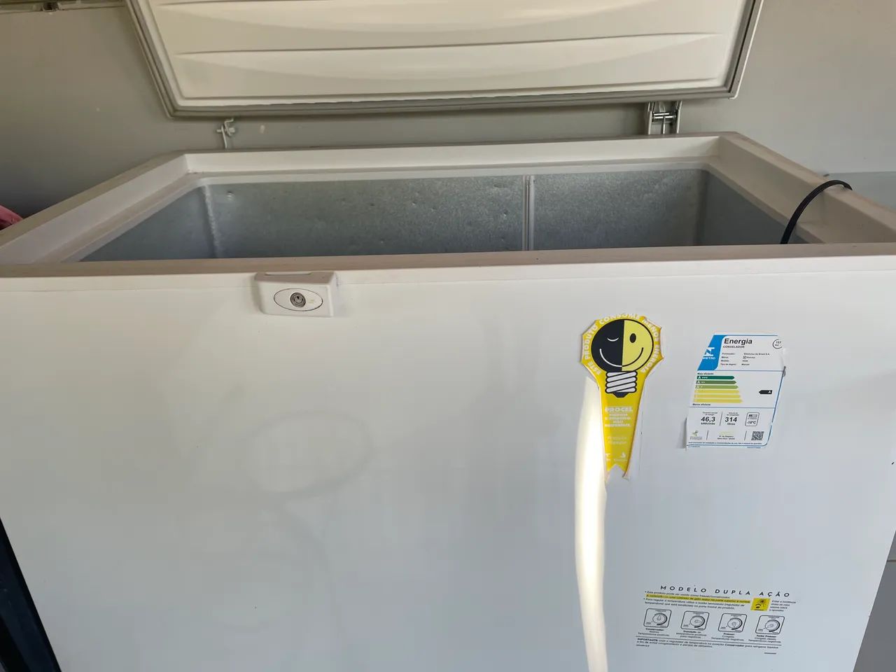 Freezer Electrolux 
