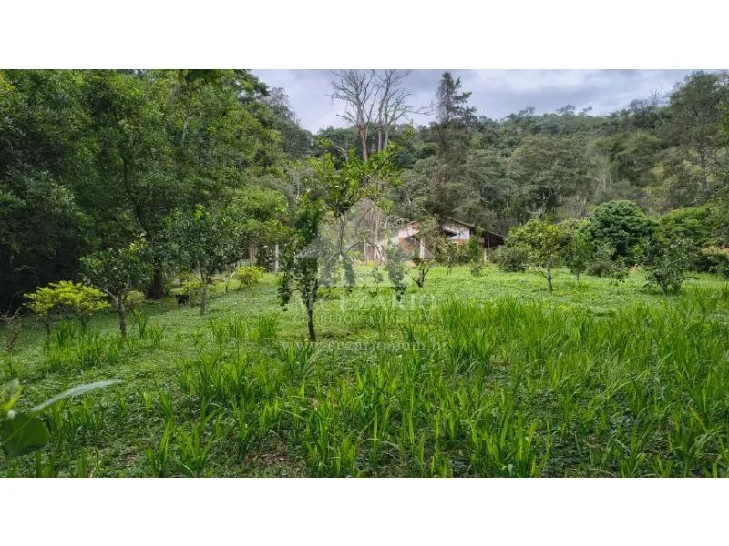 Sítio a venda - Macuco, Taubate - Foto 5