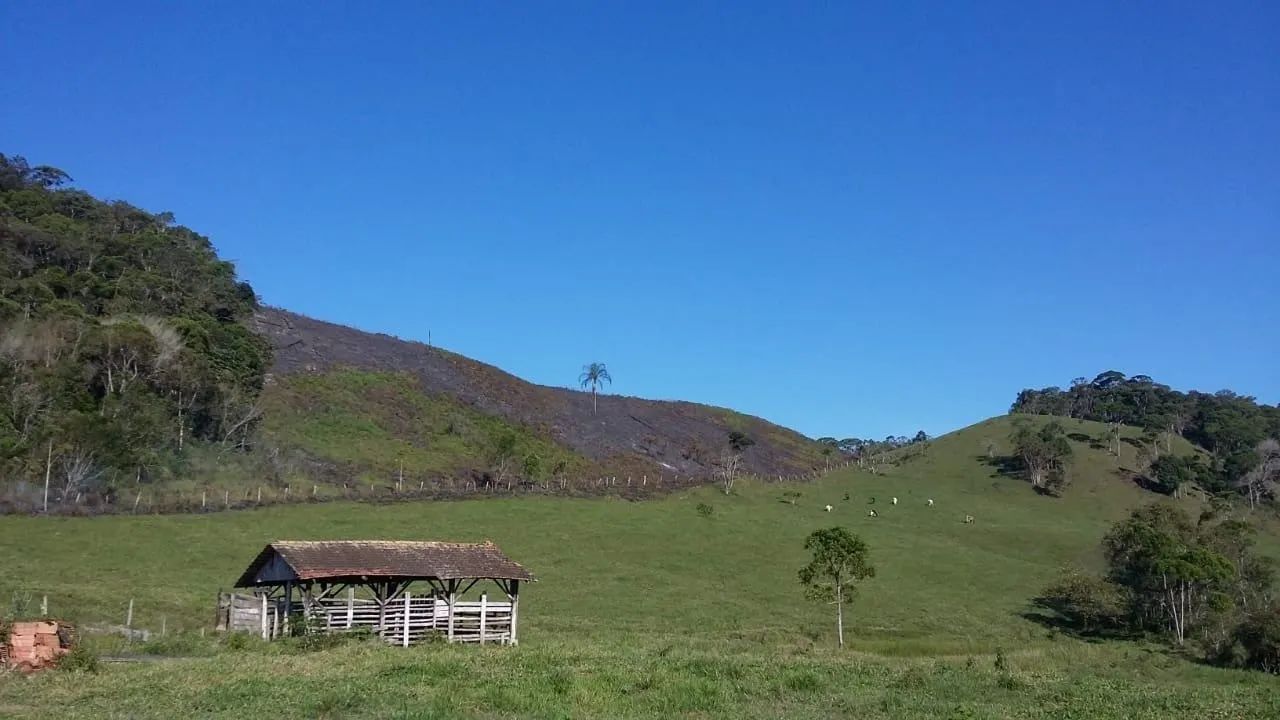 Terreno - Foto 2